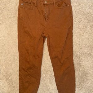 Judy Blue Women's Skinny Jeans in Brown